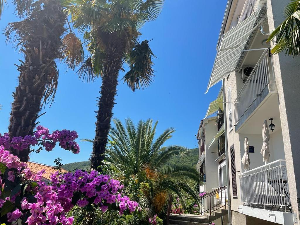 Apartman Mypalmassuite With Free Parking In